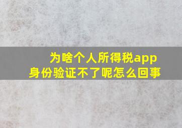 为啥个人所得税app身份验证不了呢怎么回事