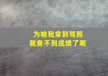 为啥我拿到驾照就查不到成绩了呢