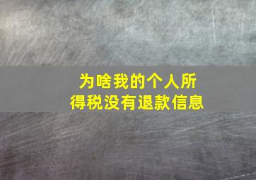 为啥我的个人所得税没有退款信息