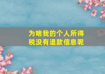 为啥我的个人所得税没有退款信息呢