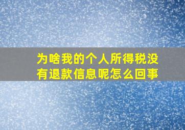 为啥我的个人所得税没有退款信息呢怎么回事