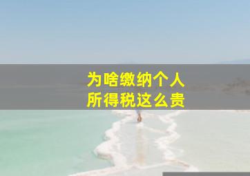 为啥缴纳个人所得税这么贵