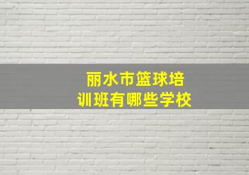 丽水市篮球培训班有哪些学校