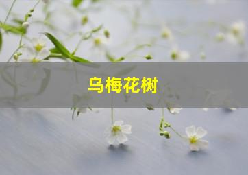 乌梅花树