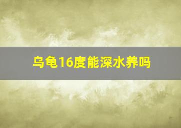 乌龟16度能深水养吗