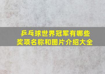 乒乓球世界冠军有哪些奖项名称和图片介绍大全