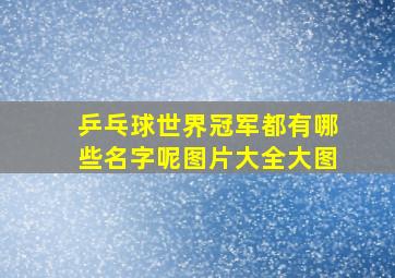 乒乓球世界冠军都有哪些名字呢图片大全大图