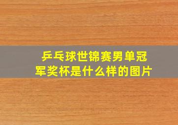 乒乓球世锦赛男单冠军奖杯是什么样的图片