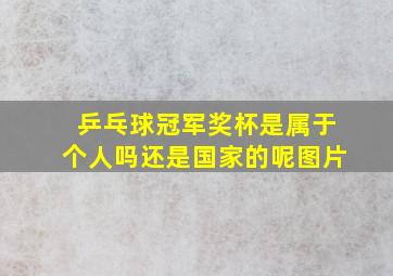 乒乓球冠军奖杯是属于个人吗还是国家的呢图片