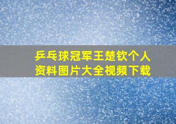 乒乓球冠军王楚钦个人资料图片大全视频下载