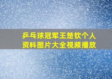 乒乓球冠军王楚钦个人资料图片大全视频播放