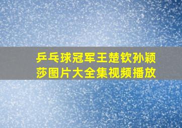 乒乓球冠军王楚钦孙颖莎图片大全集视频播放