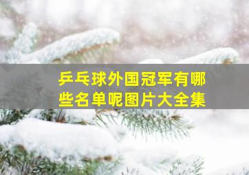 乒乓球外国冠军有哪些名单呢图片大全集