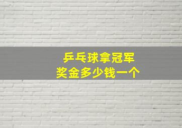 乒乓球拿冠军奖金多少钱一个