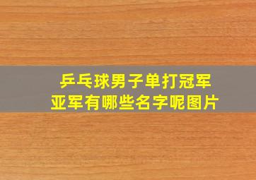 乒乓球男子单打冠军亚军有哪些名字呢图片