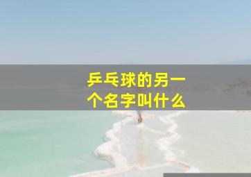 乒乓球的另一个名字叫什么