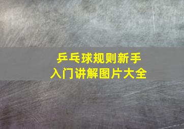 乒乓球规则新手入门讲解图片大全