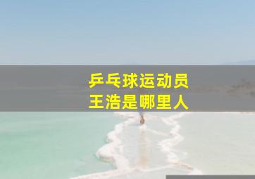 乒乓球运动员王浩是哪里人