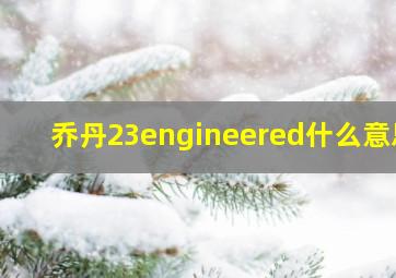 乔丹23engineered什么意思