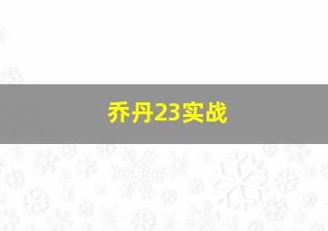 乔丹23实战