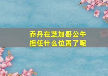 乔丹在芝加哥公牛担任什么位置了呢