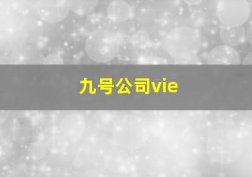 九号公司vie