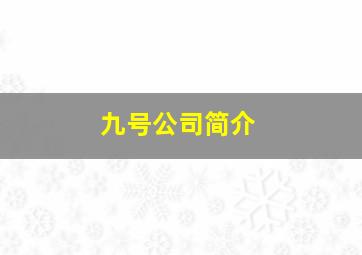 九号公司简介