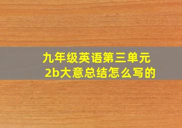 九年级英语第三单元2b大意总结怎么写的