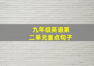 九年级英语第二单元重点句子