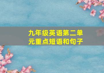 九年级英语第二单元重点短语和句子