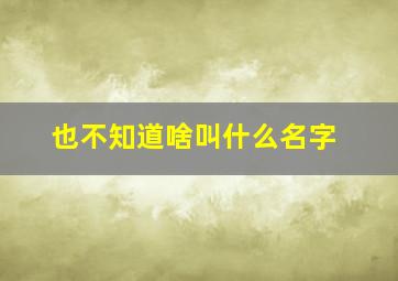 也不知道啥叫什么名字