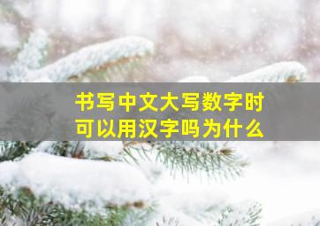 书写中文大写数字时可以用汉字吗为什么