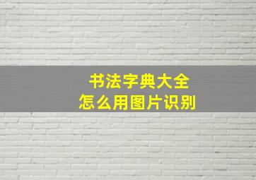 书法字典大全怎么用图片识别