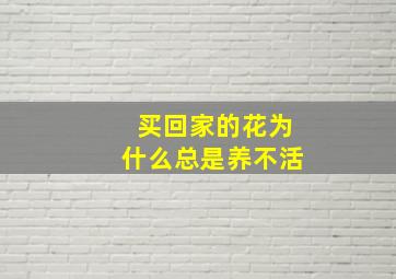 买回家的花为什么总是养不活