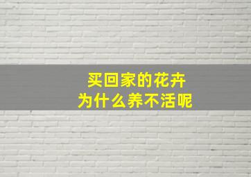 买回家的花卉为什么养不活呢