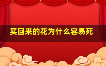 买回来的花为什么容易死