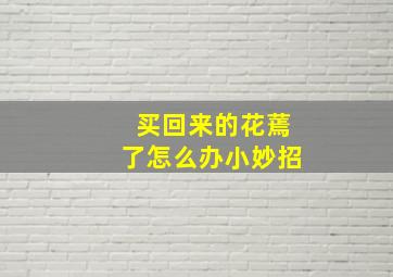 买回来的花蔫了怎么办小妙招