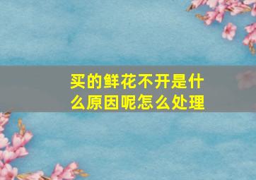 买的鲜花不开是什么原因呢怎么处理