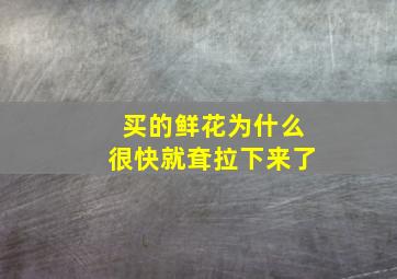 买的鲜花为什么很快就耷拉下来了