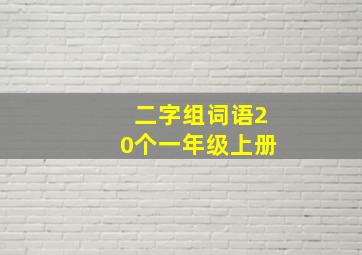 二字组词语20个一年级上册