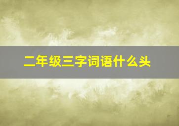 二年级三字词语什么头