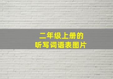 二年级上册的听写词语表图片