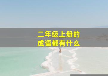 二年级上册的成语都有什么