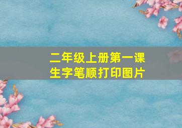 二年级上册第一课生字笔顺打印图片