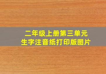 二年级上册第三单元生字注音纸打印版图片