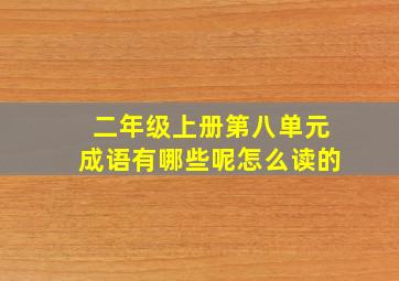 二年级上册第八单元成语有哪些呢怎么读的