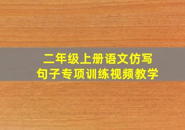 二年级上册语文仿写句子专项训练视频教学