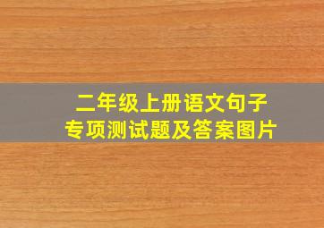 二年级上册语文句子专项测试题及答案图片