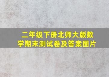 二年级下册北师大版数学期末测试卷及答案图片