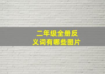 二年级全册反义词有哪些图片